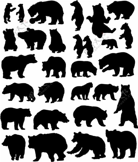 熊的各种生活造型剪影矢量合集