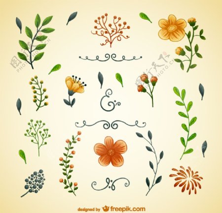 花和叶插图