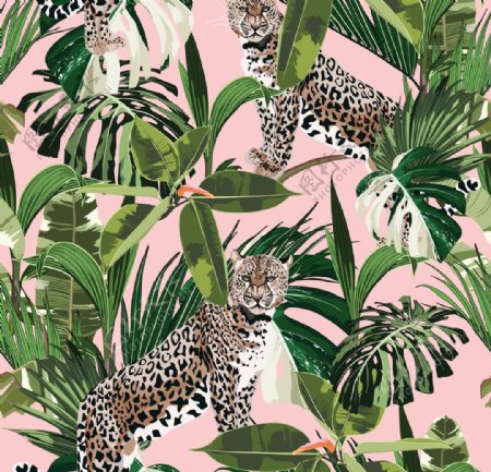 热带植物豹子