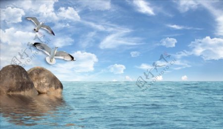 大海石头海鸥欧式背景墙