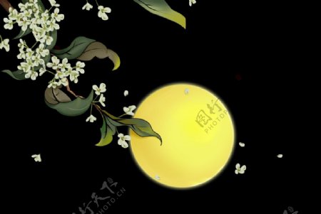 中秋节日月亮桂花素材图片
