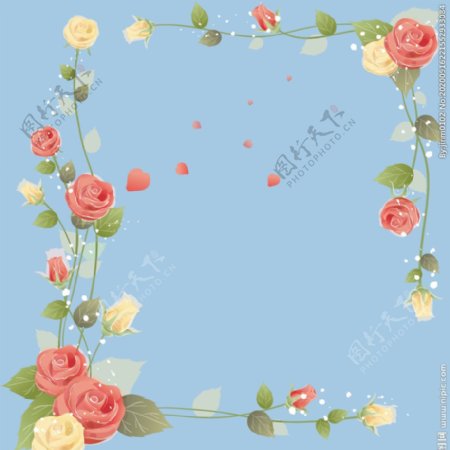 玫瑰花方框图片