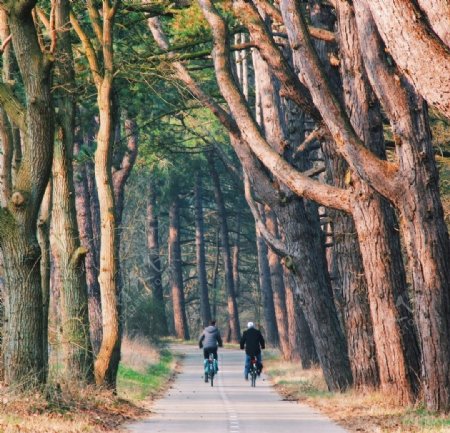 秋日公园散步运动图片