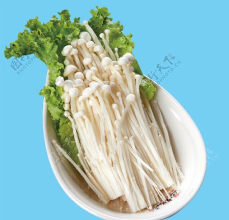 食物金针菇图片