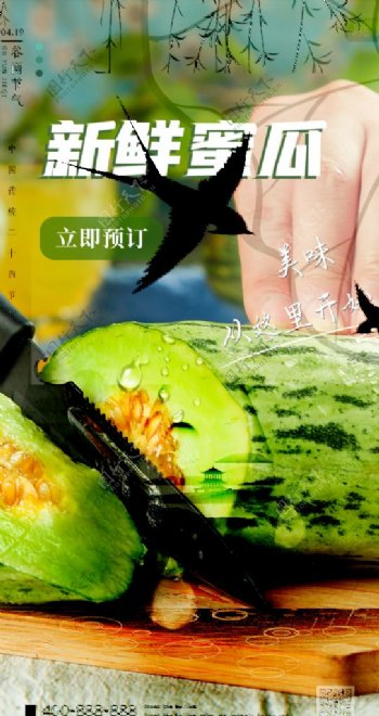 新鲜蜜瓜水果夏季海报素材图片