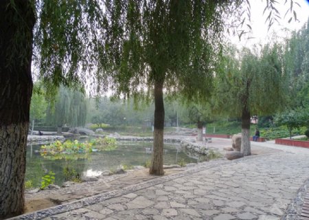 公园湖中美景图片