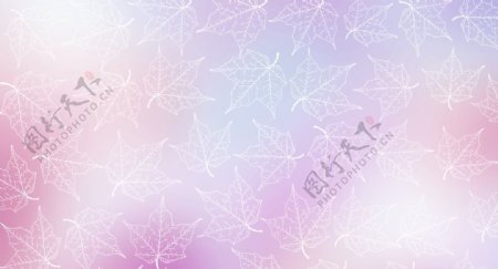 小清新叶子紫色枫叶背景图片