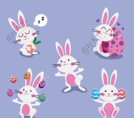 卡通白兔和彩蛋图片