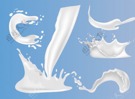牛奶花图片