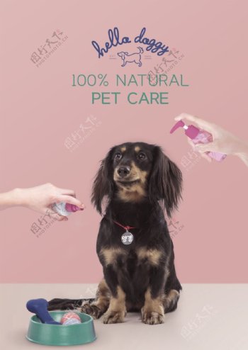 宠物用品海报设计图片
