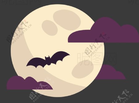 月夜蝙蝠图片