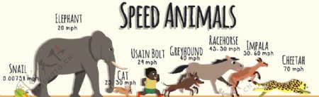 动物奔跑速度信息图图片