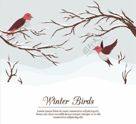 彩绘冬季树枝和鸟图片