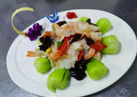 翡翠虾图片