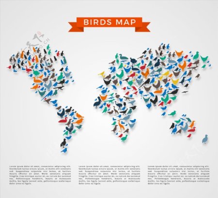 鸟类世界地图图片