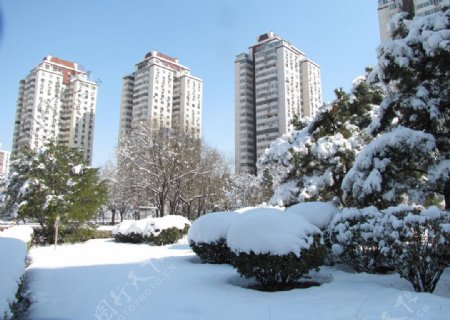 雪景高楼图片