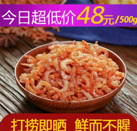 小虾米图片