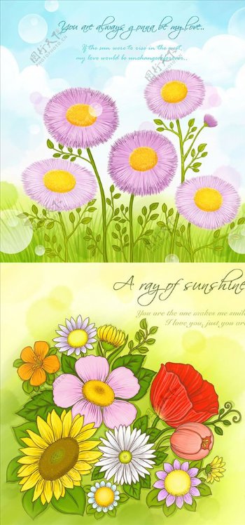 花卉背景图案图片