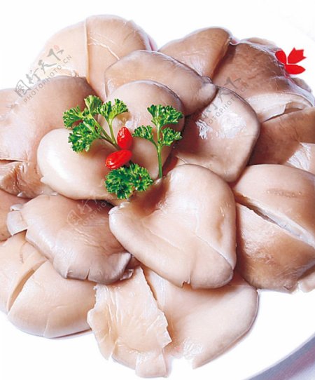 豫菜鲜平菇图片