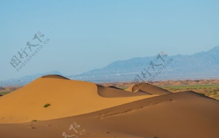 金色的沙漠摄影图图片