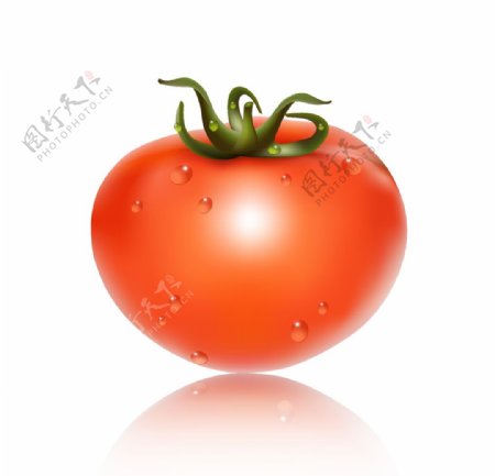 卡通番茄蔬菜图片
