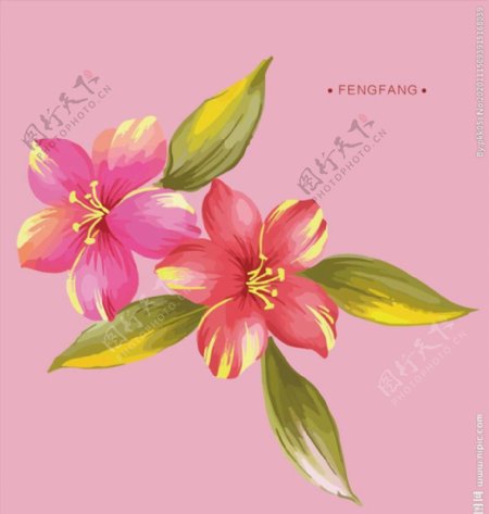 粉色手绘花朵图片