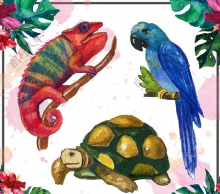 水彩绘热带动物图片