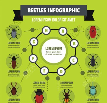 昆虫信息图表图片
