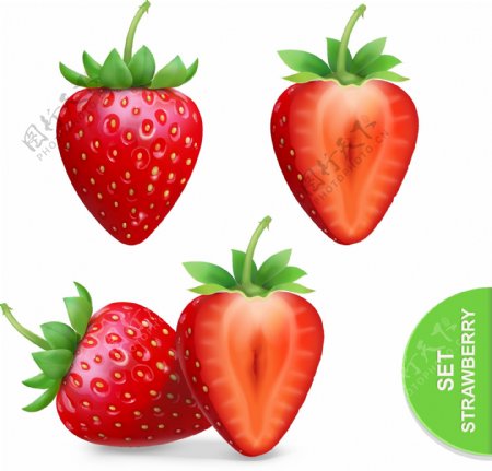 草莓和切面矢量图片