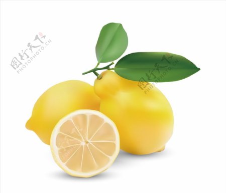 矢量柠檬图片