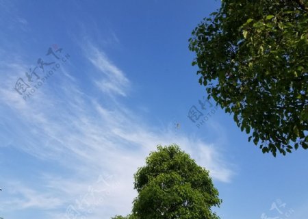 白云天空蓝色绿色树木图片