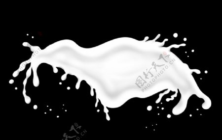 牛奶奶花图片