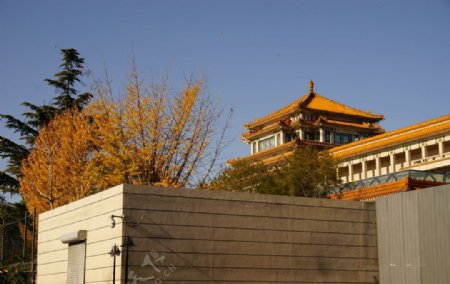 中国美术馆图片
