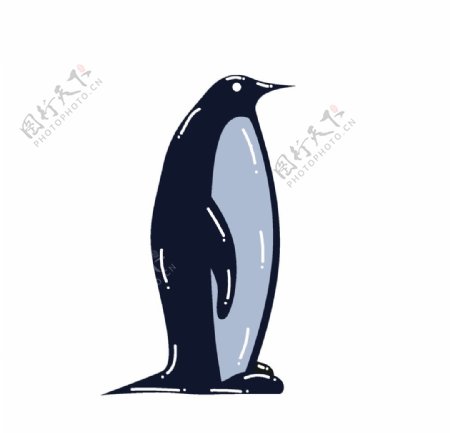 卡通矢量企鹅图片