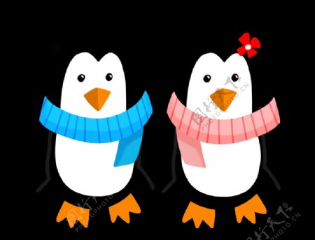 情侣企鹅插画图片