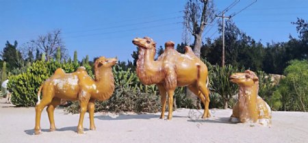植物园骆驼雕塑图片