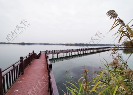 湖中栈桥图片