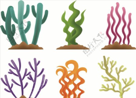 矢量柔美卡通珊瑚藻图片