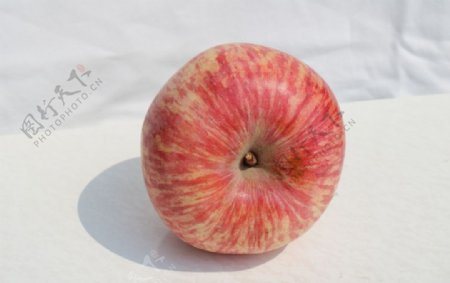 苹果静物水果白底图片