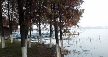 玄武湖湖边图片