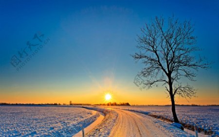 唯美冬日夕阳下的雪景图片