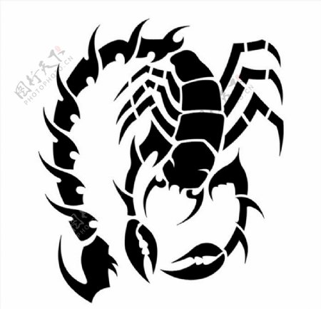 蝎子CDR图图片