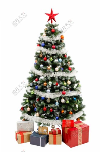 圣诞树png图片