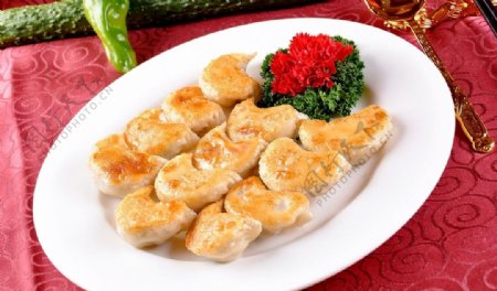 饺子水饺图片