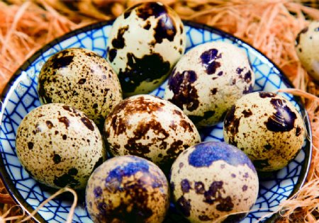 鸟蛋鹌鹑蛋煮蛋卤蛋图片