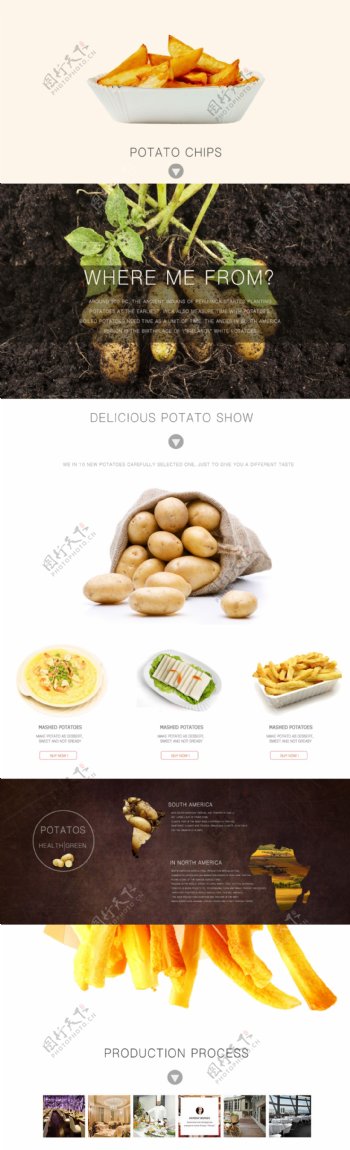 网站设计食品网站首页设计