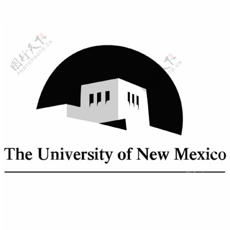 新墨西哥大学