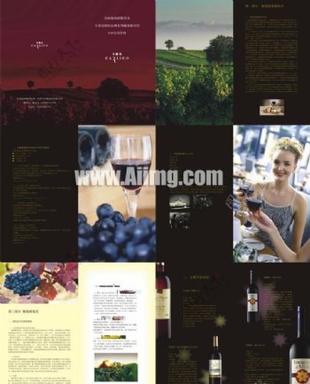 葡萄酒系列画册