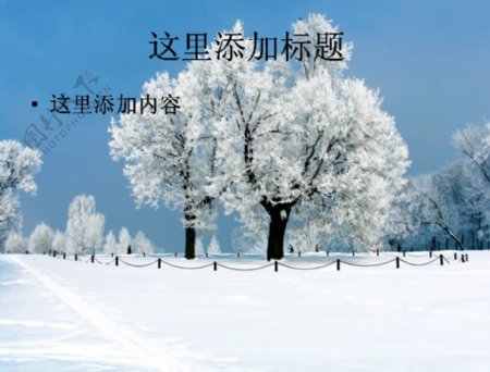 玉树琼枝的美丽雪景高清电脑PPT5