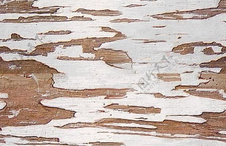 54171自然材质木皮